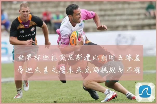 世界杯巡礼突尼斯遭比利时五球羞辱迦太基之鹰未来充满挑战与不确定性